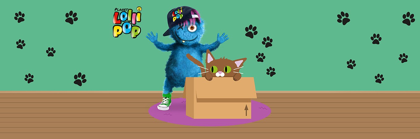 Lolli Talk #15 Haustier Katze