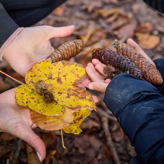 Outdoor-Abenteuer