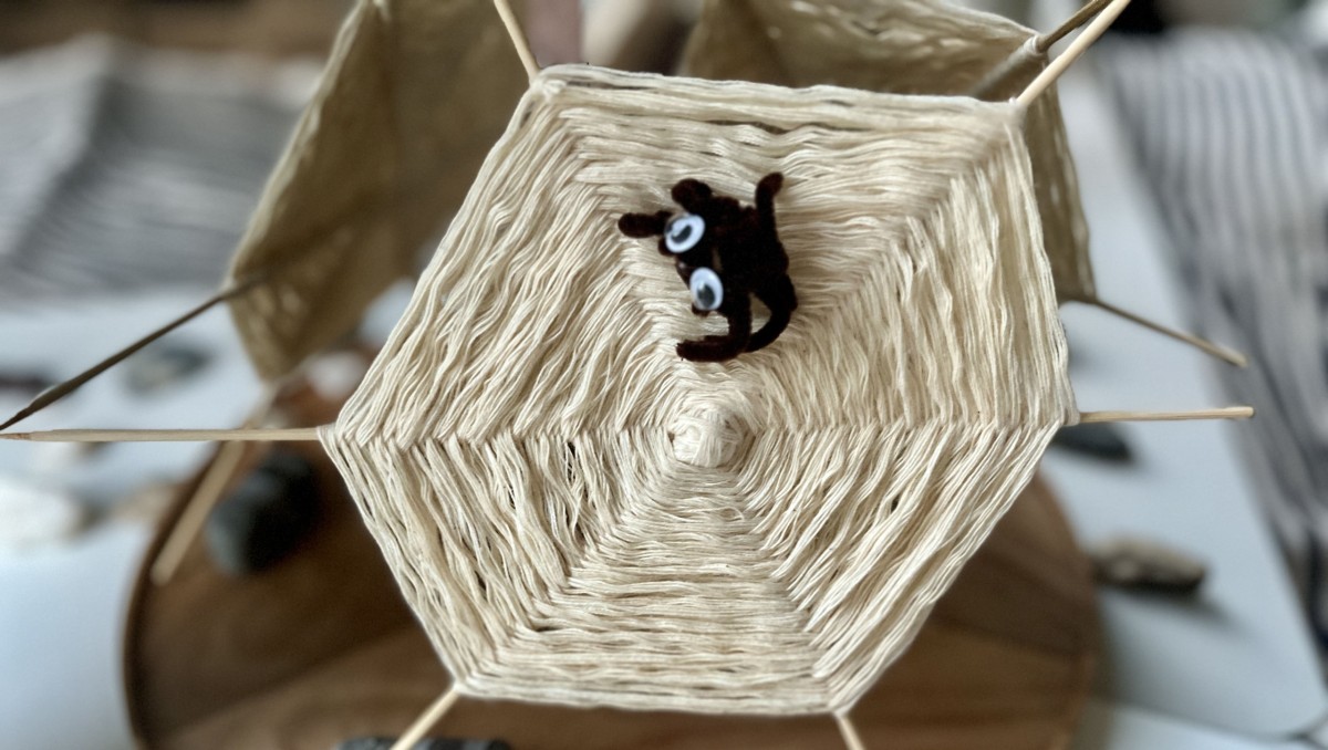 DIY Spinnenalarm