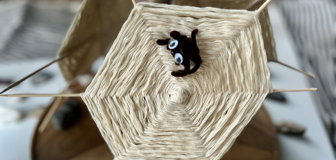 DIY Spinnenalarm