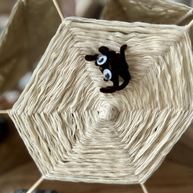 DIY Spinnenalarm