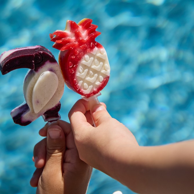 Sommerliches Joghurt-Frucht-Eis