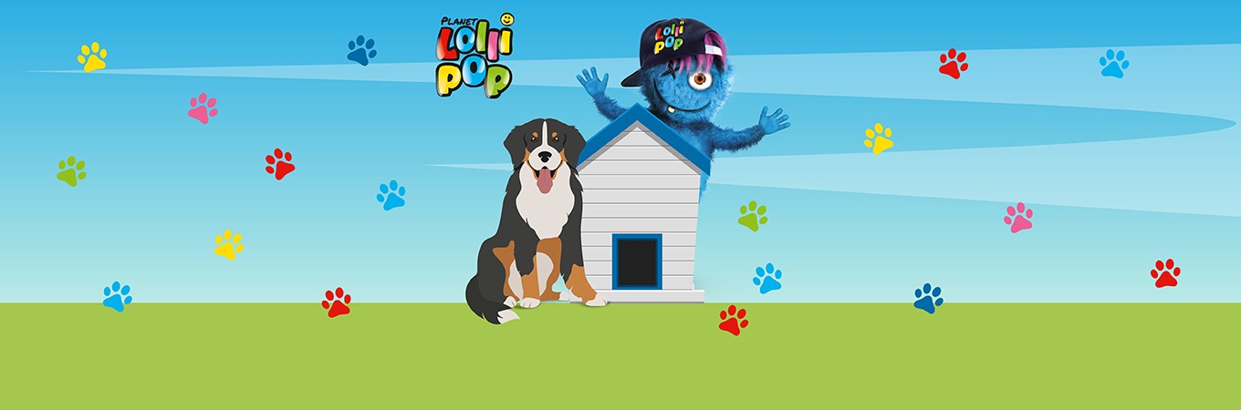 Lolli Talk Podcast mit Robert Steiner Hunde