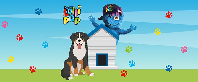Lolli Talk Podcast mit Robert Steiner Hunde