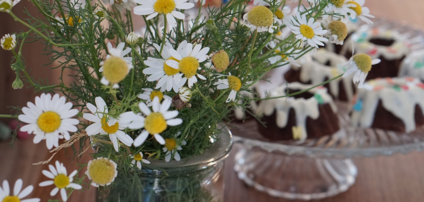 Gepflückte Blumen in Vase