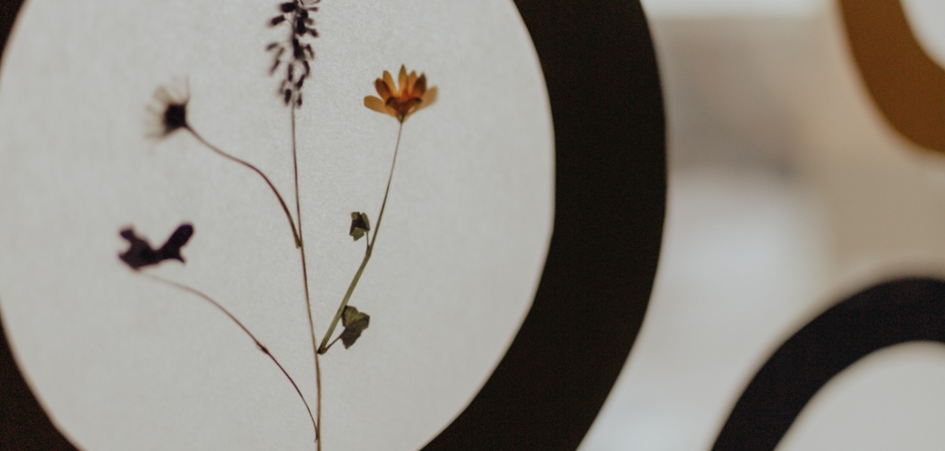 Frühlings-DIY: Fensterbilder mit getrockneten Blumen