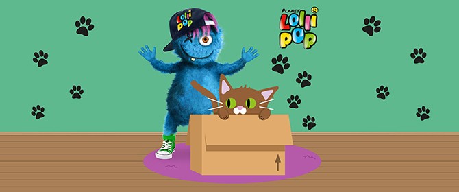 Lolli Talk #15 Haustier Katze