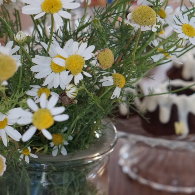 Homemade party decorations – <br>6 simple ideas for every party</br>