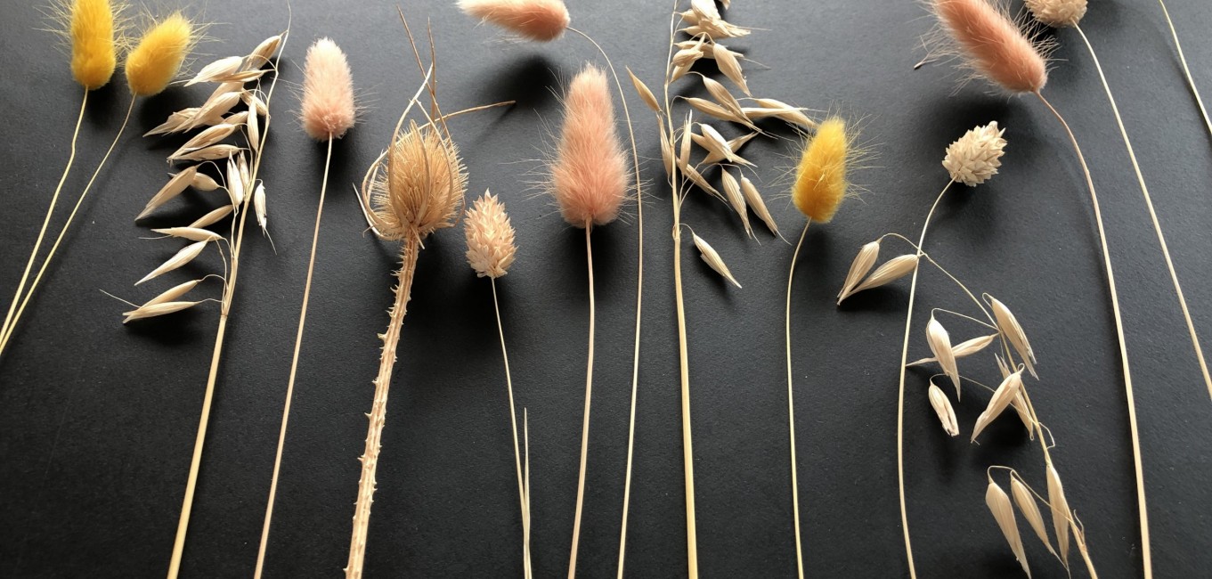 Auf einer schwarzen Fläche liegen Deko-Stiele.